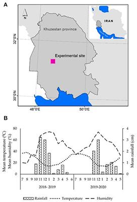 Cropping systems and agricultural management strategies affect soil organic carbon dynamics in semi-arid regions